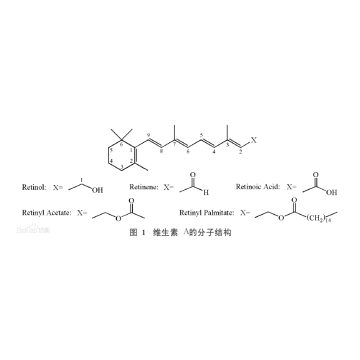 Rétinol de vitamine A liposoluble